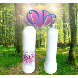INALADOR NASAL AROMATERAPIA ANCESTRAL - MEDITAÇÃO (Pelo Espírito da Floresta) INALADOR NASAL AROMATERAPIA ANCESTRAL - MEDITAÇÃO (Pelo Espírito da Floresta)